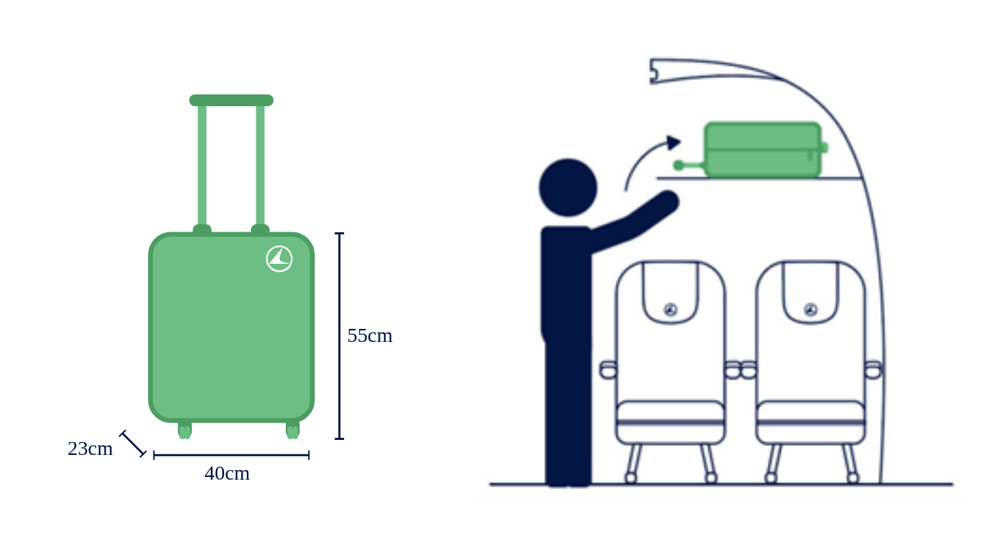 Cabin baggage